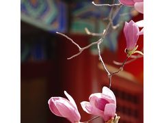 -潭柘寺景区