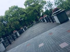 -上海鲜花港