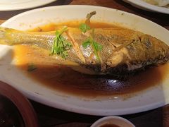 -前海沿·青岛菜(大拇指广场石老人店)