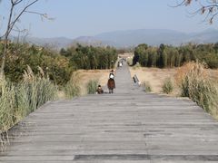 -良渚古城遗址公园