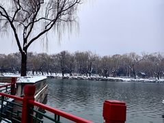 -宫事颐庭·老佛爷贵寿下午茶(颐和园店)