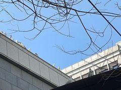 -中粮·祥云小镇