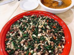 霸王兔尖椒兔-东吴霸王兔(松青路店)