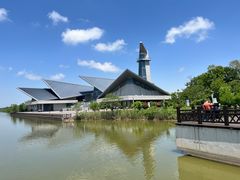 -盐城丹顶鹤湿地生态旅游区