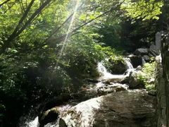 -青峰峡国家森林公园