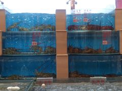 DSC_0456-东方之珠海鲜酒楼(南开店)