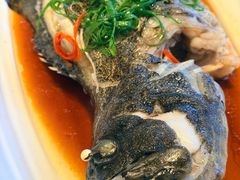 -湖锦酒楼·旗舰店(三阳总店)