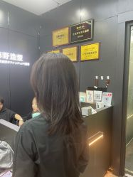 -藤野造型