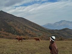 -灵山