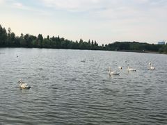 -艾溪湖湿地公园