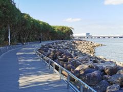 -上海吴淞炮台湾国家湿地公园