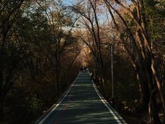 -水磨沟公园