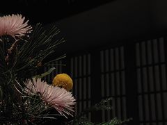 -上井料理黑金店(IFS国金中心店)