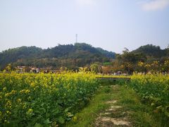 -红山村
