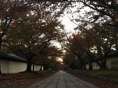 -醍醐寺