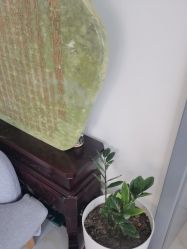 -瑶芳清颜草本祛痘