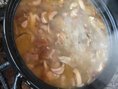 -蘑统田下·野生菌火锅