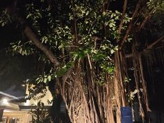 -厦门悦华酒店
