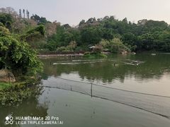 -厦门悦华酒店