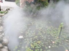 -太白山御龙湾温泉