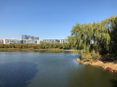 -大兴滨河森林公园