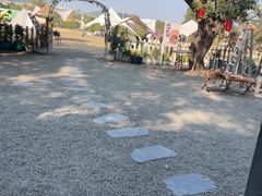 -长洲岛都市农业公园