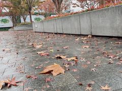 -静安公园(静安寺街道)