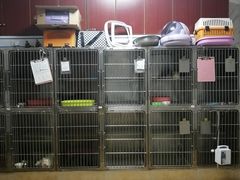 -宠颐生贝利健动物医院(谢家湾分院)