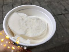 椰子雪糕-洪馨椰子