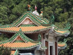 -南海湾森林生态园