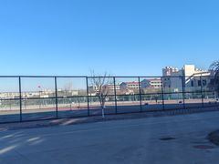 -南开大学滨海学院