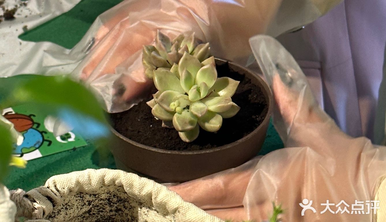 肯爷爷地球日🌍咖啡渣再生计划 将环保进行到底 环保青年做起来