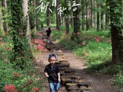 -黄海国家森林公园