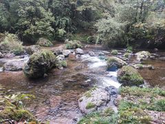 -龙苍沟森林公园
