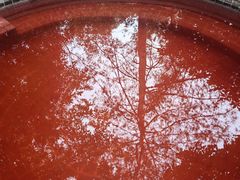 -天目湖涵田半山温泉