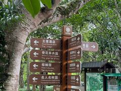 -中国科学院西双版纳热带植物园