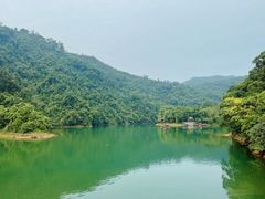 -鼎湖山风景区