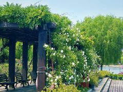-上海鲜花港