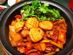 -禄婶鸡煲·打边炉