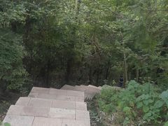-云碧峰国家森林公园