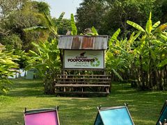 -大象粑粑造纸公园