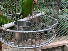 -南宫五洲植物乐园