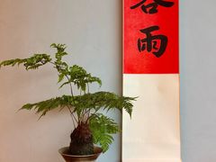 -茶人村·前滩江景雅宴(上海首店)