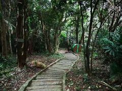 -海南铜鼓岭景区