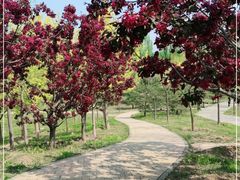-东郊湿地公园