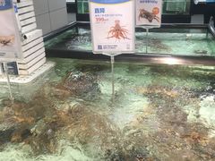 -盒马渔市餐厅