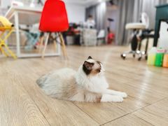 -iF摄影•全家福•证件照•形象照(南山店)