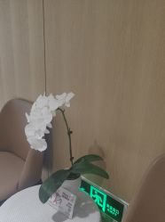 -广东韩妃整形外科医院