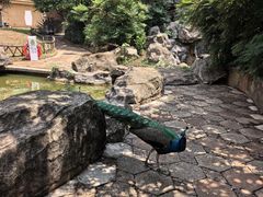 -昆明动物园