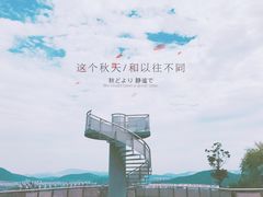 -羊山湖公园